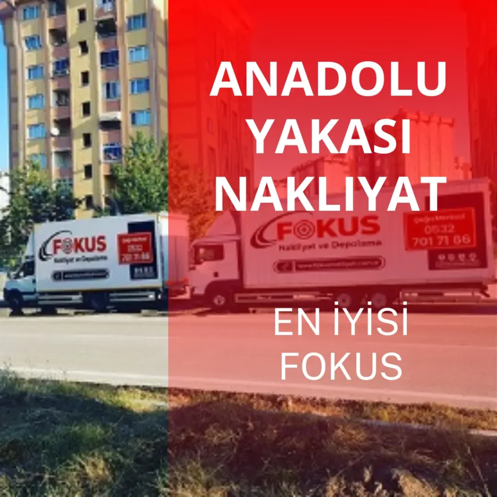 Anadolu Yakası Evden Eve Nakliyat - Fokus Nakliyat